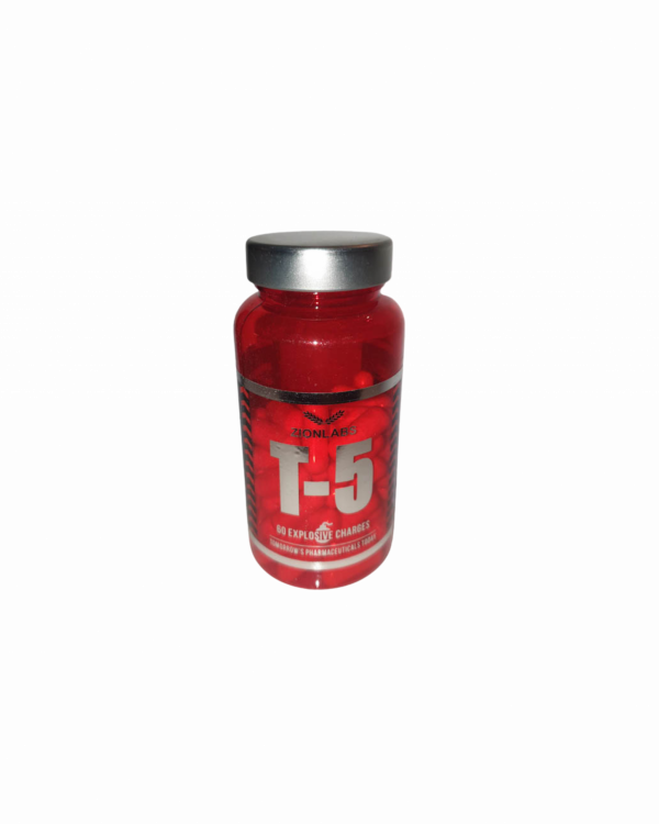 T5 Zion Labs (ECA stack)